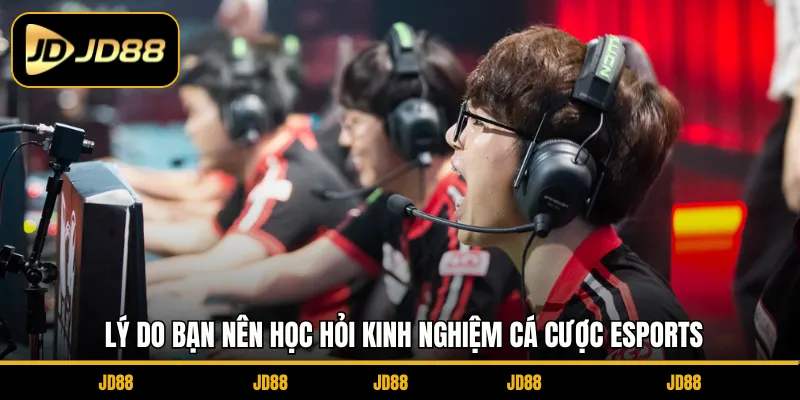 Lý do bạn nên học hỏi kinh nghiệm cá cược Esports